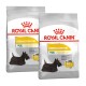 Deux sacs de nourriture pour chiens Royal Canin Dermacomfort pour mini races, présentant une silhouette de chien noir et "Formule à allergènes réduits."