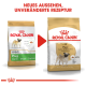 Bild von zwei Beuteln Royal Canin Hundefutter für erwachsene Möpse, das ein neues Design auf der rechten Seite mit dem Text "NEUES AUSSEHEN, UNVERÄNDERTE REZEPTUR" zeigt.