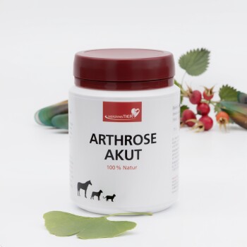 Weißer Behälter mit rotem Deckel mit der Aufschrift „Arthrose Akut 100% Natur“ für Haustiere, zeigt Silhouetten von Pferd, Hund und Katze.