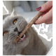 Eine Nahaufnahme einer grauen Katze, die verspielt an einem Stock kaut, der von einer Hand mit polierten Nägeln gehalten wird, und ihre scharfen Zähne und leuchtenden Augen zeigt.