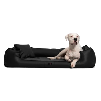 Ein weißer Hund entspannt sich auf einem eleganten schwarzen Haustierbett mit einem kleinen Kissen, das Komfort und Stil zeigt.