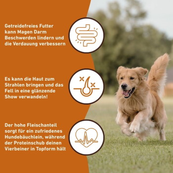 Ein Rottweiler liegt auf dem Gras neben einem Sack Hundefutter, mit einem Fütterungsrichtlinienchart auf Deutsch, das die täglichen Futtermengen basierend auf dem Gewicht des Hundes detailliert.