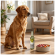 Golden Retriever sitzt neben einer grünen Flasche mit der Aufschrift 'PREMIERE' und einer Schale mit Fleisch und Kroketten auf dem Wohnzimmerboden.