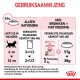 Infographic over kattenvoedingsrichtlijnen met Royal Canin producten, die natte en gemengde voeding per leeftijd en gewicht behandelt.