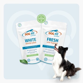 Border Collie neben zwei Dog Fit-Beuteln: 'WHITE dental plus' und 'FRESH oral hygiene', 100% VEGAN-Siegel.
