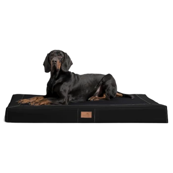 Ein schwarzer Dobermann, der bequem auf einem großen schwarzen Haustierbett mit einem Lederetikett liegt und ein schlankes, modernes Design zeigt.