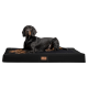 Ein schwarzer Dobermann, der bequem auf einem großen schwarzen Haustierbett mit einem Lederetikett liegt und ein schlankes, modernes Design zeigt.