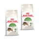 Zwei Tüten Royal Canin Katzenfutter mit der Aufschrift 'Active Life OUTDOOR', mit einer verspielten Katze auf der Verpackung.