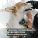 Eine Person bürstet einen glücklichen Corgi mit einem Werkzeug und zeigt "innere Mikroklingen entfernen Verfilzungen" und "beruhigende Massagewirkung."