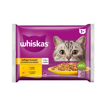 Nassfutter Katze Adult 1+, Mixpaket, Geflügel Auswahl, in Gelee 4x85 g Whiskas Katzenfutterverpackung mit einem Nahaufnahme eines Katzenkopfes, mit einer gelben Futterschüssel und Text, der die Geflügelauswahl in Gelee angibt.