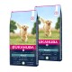 Trockenfutter Hund Large Breed Adult, Lamm & Reis 2x12 kg