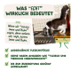 Katze auf dem Herd schnuppert an einem Topf; grünes Banner lautet 'WAS "ECHT" WIRKLICH BEDEUTET' mit deutschem Checklisten-Text.