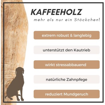 Kaffeestick für Hunde, extrem robust und langlebig, unterstützt den Kautrieb, wirkt stressabbauend, natürliche Zahnpflege, reduziert Mundgeruch.