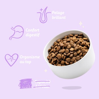 Bol blanc de croquettes avec étiquettes en français : Pelage brillant ; Confort digestif ; Capacité à léviter (barré).