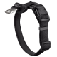 Schwarzes verstellbares Hundehalsband mit gepolstertem Innenfutter, Metall-Leinenclip und 'HUNTER'-Schnalle.