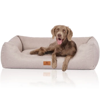 Hundebett Emma aus Velours mit feinem Handwebcharakter in Pastellfarben beige XL Ein brauner Hund liegt auf einem weichen, beigen Haustierbett mit einem Holzschild, das "Khuferwuff" beschriftet ist. Das Bett hat ein gemütliches, plüschiges Design.