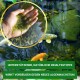 Eine Hand hält grüne Algen über einem Teich mit bunten Fischen. Text: "Natürliche Zutaten" und "Verhindert neues Algenwachstum."