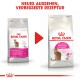 Savour Exigent 4 kg