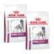 Zwei Beutel Royal Canin Veterinary Renal Special Hundefutter, mit einer Silhouette eines Hundes, mit dem Markennamen deutlich angezeigt.