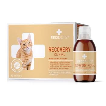 Eine Schachtel RECOACTIV Recovery Renal Katzenfutter, mit einer orangefarbenen Tabby-Katze auf der Vorderseite, mit einer Flasche des Produkts daneben.
