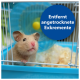 Eine Nahaufnahme eines neugierigen Hamsters, der aus seinem blauen Käfig schaut, mit einer Sprechblase, die besagt: "Entfernt angetrocknete Exkremente."