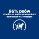 Niebieska grafika z pogrubionym białym tekstem: "96% psów straciło na wadze w 2 miesiące" i ikoną psa z miarą.