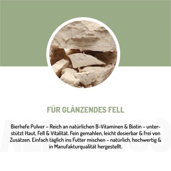 Bild eines Hundes, der neben einer Person auf einem Sofa sitzt, mit einem Bewertungsfeld mit einer Bewertung von 4,8/5 Sternen und Text, der ein B-Vitaminpräparat lobt.