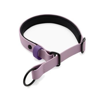 Lila und pink verstellbarer Haustierhalsband mit schwarzen Akzenten und Metallringen, entworfen für Komfort und Stil.