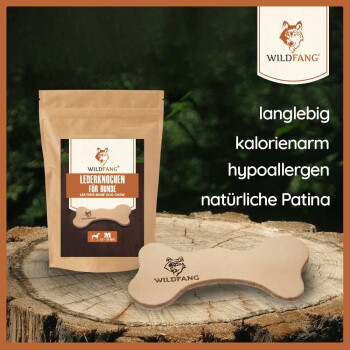 Wildfang Coffee Tree Kaustick-Paket auf Holz, das einen natürlichen Kaustick mit abgerundeten Kanten und wichtigen Textmarkierungen zeigt.