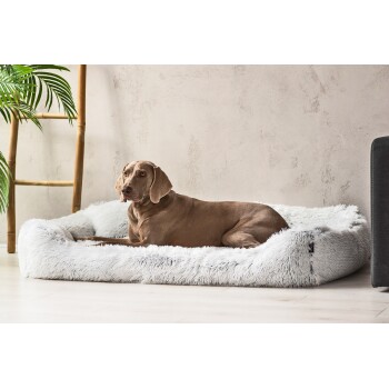 Ein brauner Hund ruht auf einem plüschigen, flauschigen Haustierbett in einem modernen Innenraum mit einer Bambuspflanze im Hintergrund.