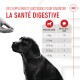 Un chien noir regarde une main tenant un supplément, avec un texte sur la santé digestive et le dosage en fonction du poids du chien.