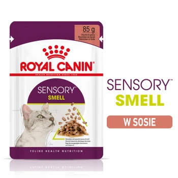 Torebka karmy dla kotów Royal Canin Sensory Smell, 85g, z szarym kotem i kawałkami w sosie, promująca stymulację sensoryczną dla kotów.