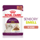 Torebka karmy dla kotów Royal Canin Sensory Smell, 85g, z szarym kotem i kawałkami w sosie, promująca stymulację sensoryczną dla kotów.