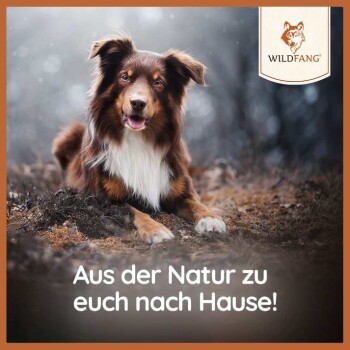 Ein glücklicher braun-weißer Hund, der auf dem Boden liegt, mit dem Text "Aus der Natur zu euch nach Hause!" am unteren Rand.