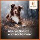 Ein glücklicher braun-weißer Hund, der auf dem Boden liegt, mit dem Text "Aus der Natur zu euch nach Hause!" am unteren Rand.