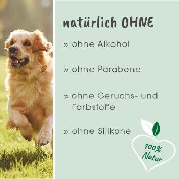 Ein Golden Retriever läuft fröhlich auf einem grasbewachsenen Feld mit "natürlich OHNE" und 100% Natur-Logo, das alkoholfreie, parabenfreie Inhaltsstoffe hervorhebt.