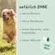 Ein Golden Retriever läuft fröhlich auf einem grasbewachsenen Feld mit "natürlich OHNE" und 100% Natur-Logo, das alkoholfreie, parabenfreie Inhaltsstoffe hervorhebt.