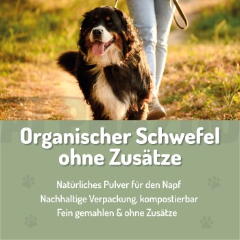 MSM Schwefelpulver für Hunde und Katzen, mit hohem Schwefelgehalt (34 %), fördert die Mobilität, mit Text, der seine Reinheit und Kompostierbarkeit hervorhebt.