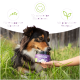 Ein Hund schnüffelt an einem Glas mit der Aufschrift 'RUHE & RELAX Leckerli' in einem grasbewachsenen Bereich, mit Text, der beruhigende Effekte und Konzentrationssteigerung hervorhebt.