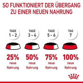 Infografik, die einen 7-tägigen Übergangsplan für Haustierfutter zeigt, mit Details zu den Prozentsätzen des neuen Futters, das jeden Tag gemischt werden soll, mit Schalen und Text auf Deutsch.
