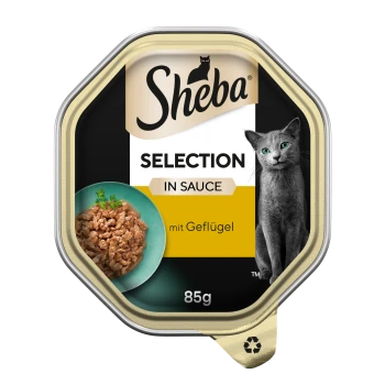 Sheba Selection in Sauce 85 g Katzenfutterschale mit Bild einer grauen Katze, Schüssel mit Geflügelstücken; Etikett 'mit Geflügel'.