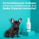 Ein schwarzer Französischer Bulldog sitzt neben einer Flasche Green Hero Zahnpflegespray vor einem hellen türkisfarbenen Hintergrund.