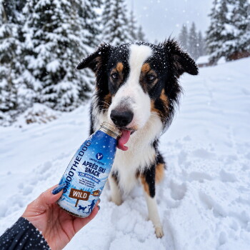 Dreifarbiger Hund im Schnee leckt an einer von einer Hand gehaltenen Flasche mit der Aufschrift 'APRES SKI SNACK WILD'.