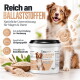 Ein Golden Retriever und eine graue Katze ruhen auf dem Boden; die Katze frisst aus einer Schüssel. Der Text bietet Fütterungsempfehlungen und Zubereitungsanweisungen.
