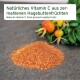 Natürliche Vitamin C aus gemahlenen Hagebutten, mit einem Hügel aus rötlich-braunem Pulver und frischen Hagebutten im Hintergrund.