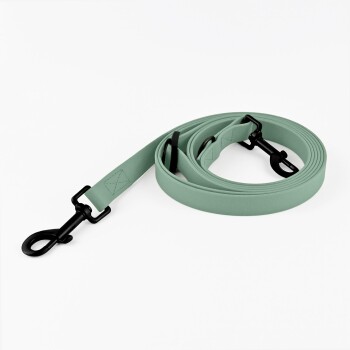 Eine mintgrüne Hundeleine mit schwarzen Metallclips, ordentlich auf einem weißen Hintergrund aufgerollt.