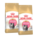Deux sacs de nourriture pour chatons Royal Canin Persian, présentant un mignon chaton persan à l'avant, étiquetés "Kitten" et "Persian."