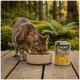 Getigerte Katze trinkt aus einer Schale auf einem Holzdeck neben einer Dose Katzenfutter 'Wilderness Adult Pure Chicken' in einer Waldumgebung.