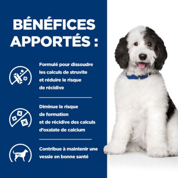 Un chien noir et blanc duveteux est assis contre un fond bleu avec du texte sur les avantages des produits pour animaux concernant la santé de la vessie et les pierres de struvite.