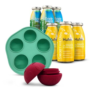 Flaschen mit SmoothieDog Haustiergetränken mit der Aufschrift "Huhn" und "Trinkpause", eine grüne Silikonform und ein roter Leckerli-Spender mit Ball.